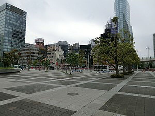 周辺環境:こうなん星の公園