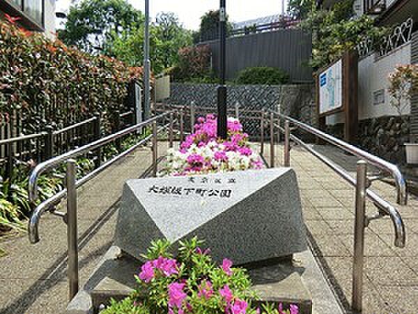 周辺を拡大表示