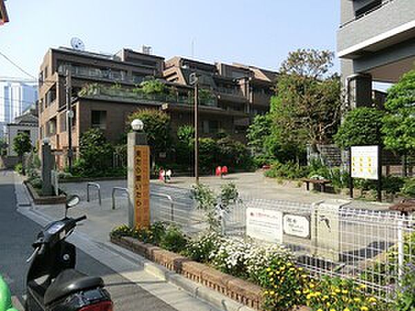 周辺環境:きたしん公園