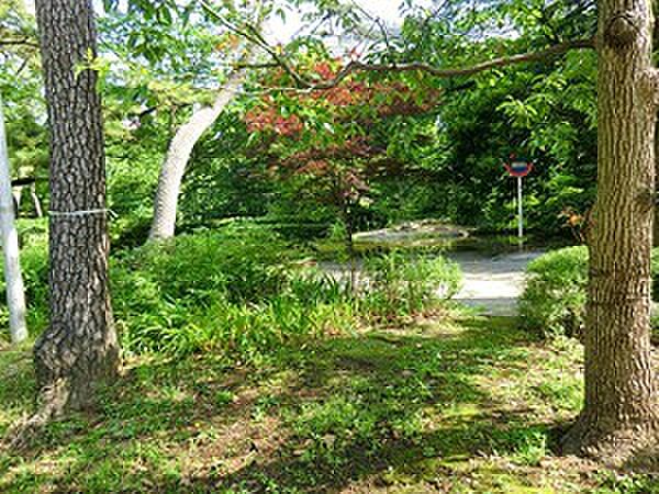 清水谷公園