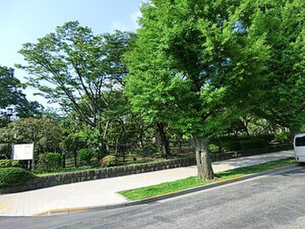 国会前庭