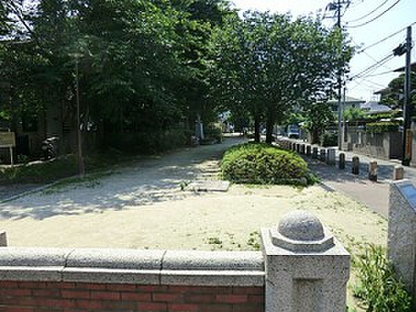 周辺環境:玉川上水公園