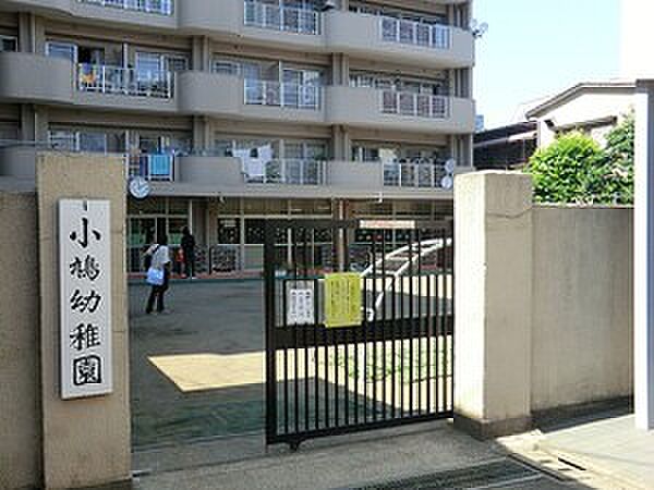 周辺環境:小鳩幼稚園