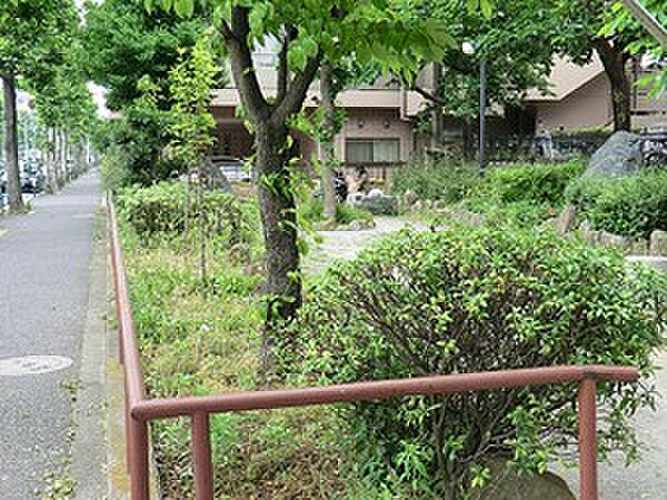 周辺環境:十三号通り公園