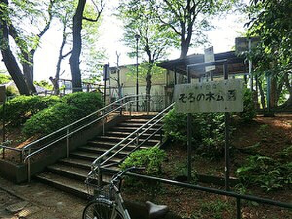 周辺環境:そろの木公園