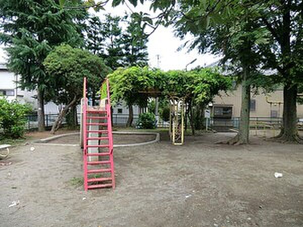 周辺環境:すぎのこ公園