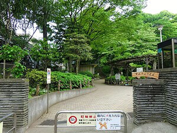 周辺環境:須藤公園