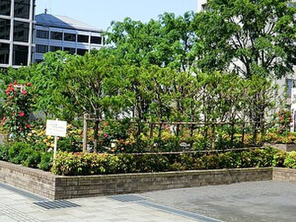 周辺環境:氷川公園