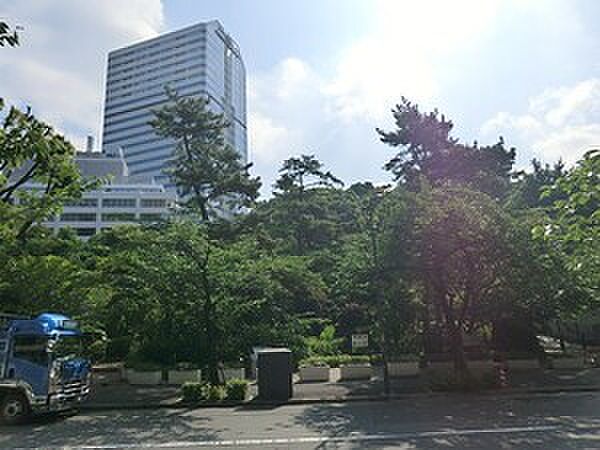 周辺環境:清水谷公園