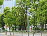 周辺：こうなん星の公園