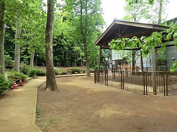 周辺環境:氷川の杜公園