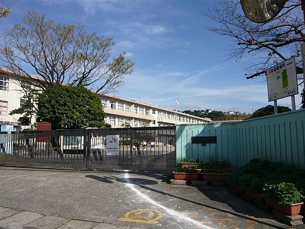 伊敷小学校 80m