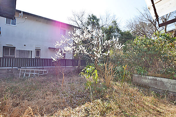 現況古屋あり（お庭部分）