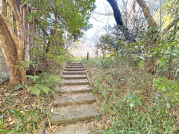 私道から敷地へのアプロ―チ