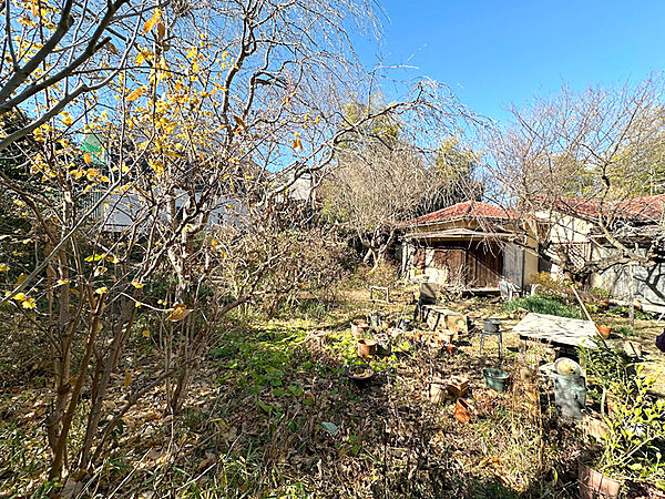 現地庭（現況古屋あり）