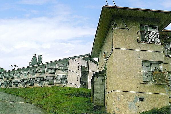 外観：315000030780