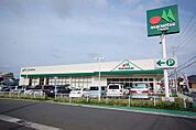 マルエツ溝沼店