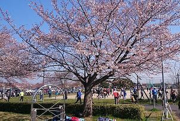 久喜市総合運動公園まで938m、久喜市総合運動公園　徒歩12分