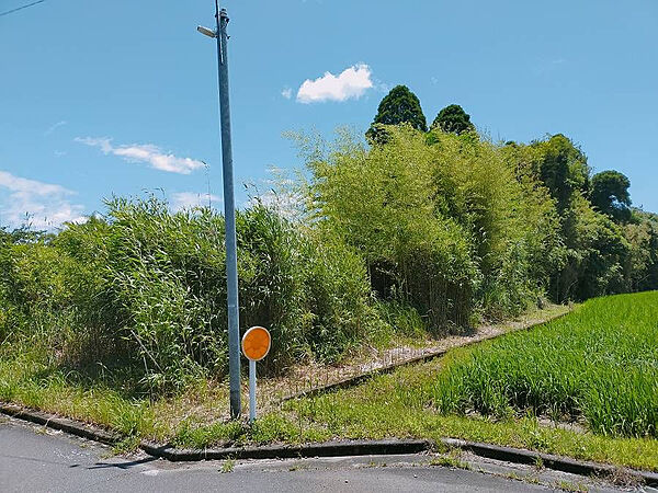 外観：345000011012