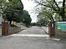 周辺：中井小学校(300m)