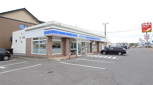 ローソン 美幌稲美店（1007m）
