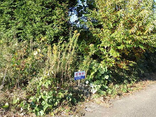 外観：308000132666