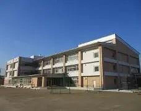 八尾市立桂小学校まで455m