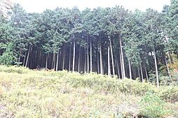 兵庫県朝来市山東町金浦