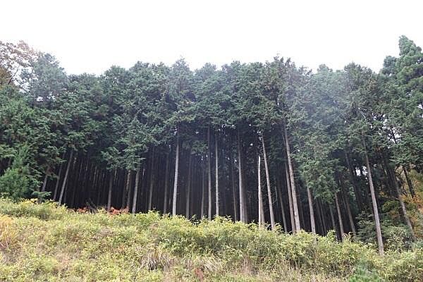敷地写真2