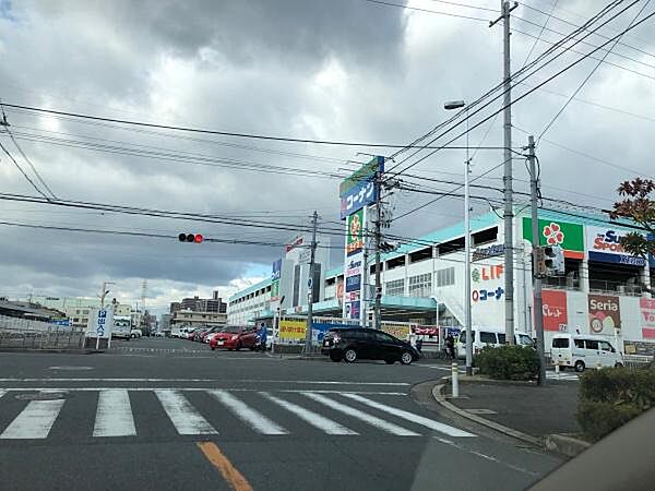 ライフ菱江店まで736m