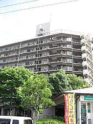 アメリア1番館