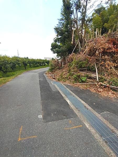現地と前面道路