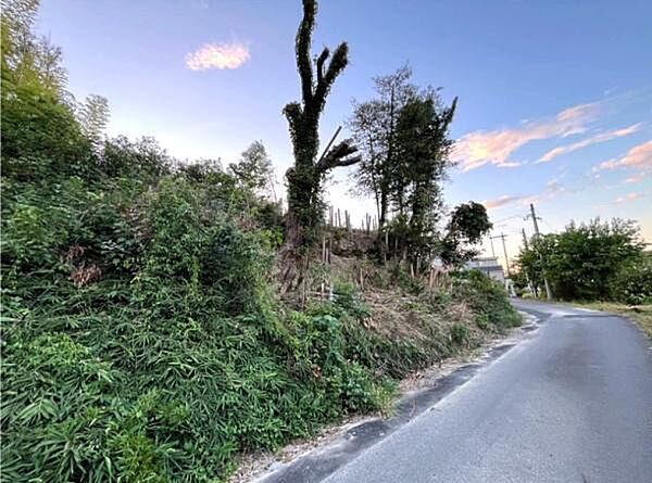 現地と前面道路
