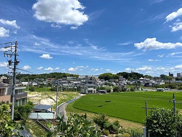 現地からの眺望