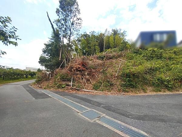 現地と前面道路