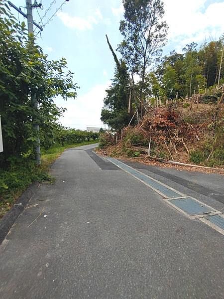 現地と前面道路