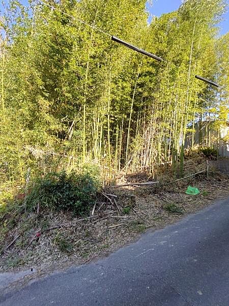 外観：323000408157