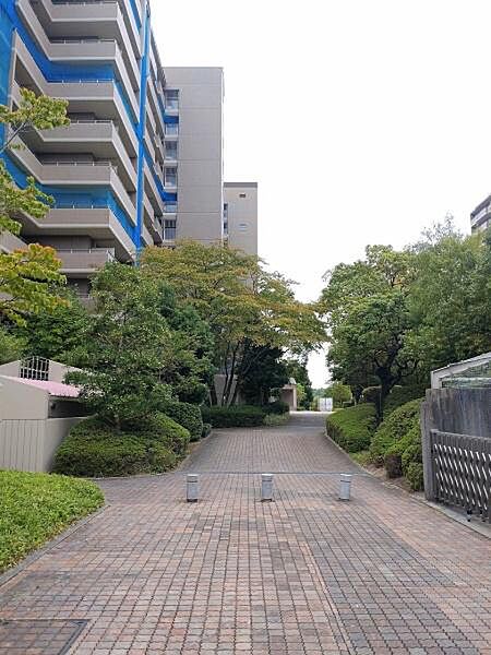 美しい緑植樹の通路