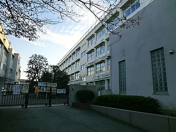 横浜市立汲沢小学校まで1100m