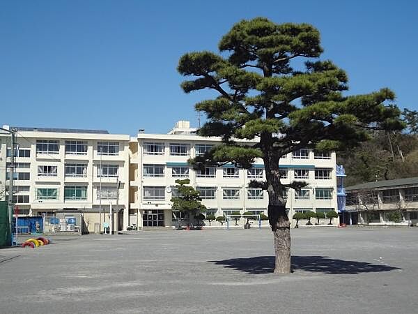 藤沢市立片瀬小学校まで1180m