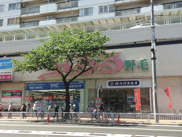 ハックドラッグ野毛店まで1069m