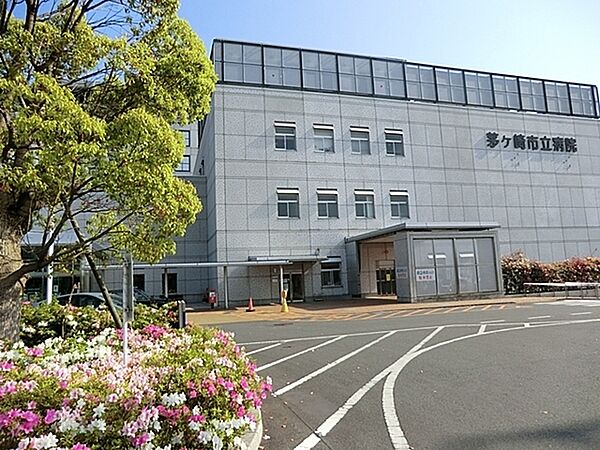 茅ヶ崎市立病院まで1393m