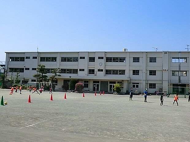 茅ケ崎市立浜之郷小学校まで1015m