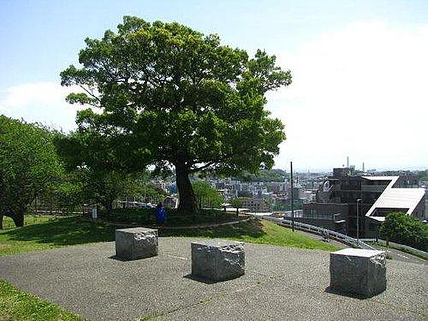 清水ケ丘公園まで2272m