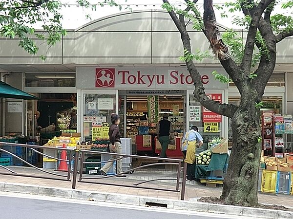 東急ストア宮崎台店まで1301m