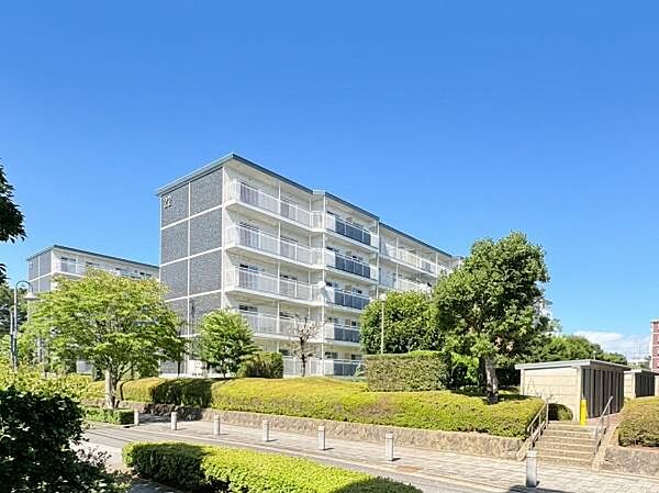 外観：314002791959