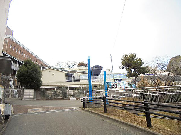 画像22:姫路市立水族館(1700m)