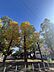 その他：緑が多い大通り公園前の好立地です。