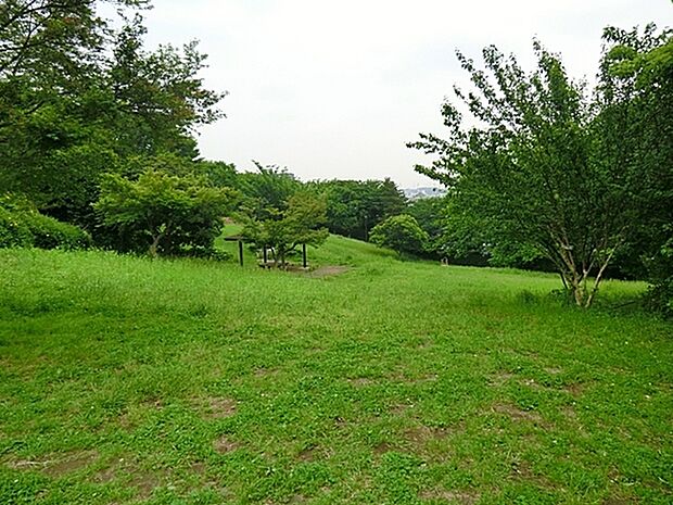 東本郷公園まで1100m