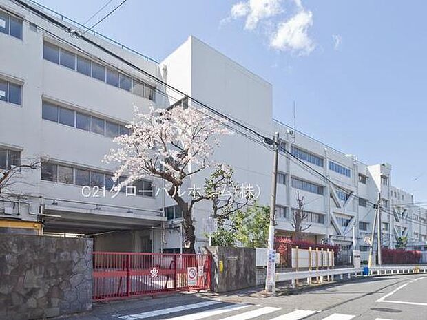 横浜市立太田小学校まで1100m